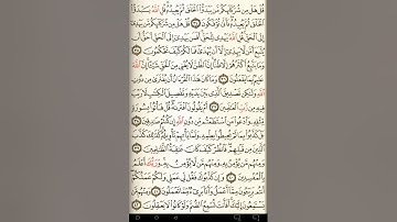 ماهر المعيقلي سورة يونس مكتوبة صفحة 213 مصحف المدينة المنورة جودة عالية
