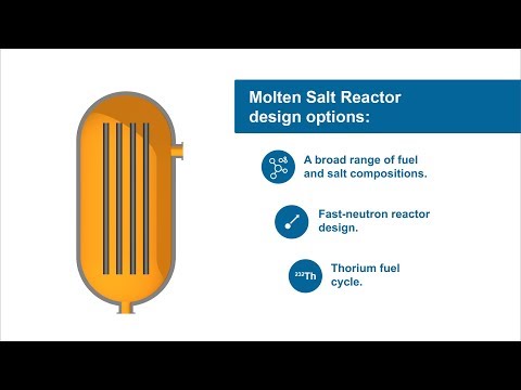 Molten Salt Reactor Fundamentals