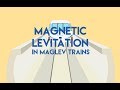 Breakthrough Junior Challenge 2017 : Magnetic Levitation in MagLev Trains