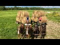 MY DAUGHTERS HELP WITH HAULING BALES // Farming With Draft Horses