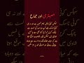 #Hambistari#MiyaBiwi#Jima#IslamicRelationship#MarriageTips#UrduYouTubeShorts
