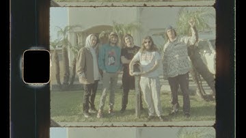 Dogs In A Pile - The Bag - Official Music Video (4K)