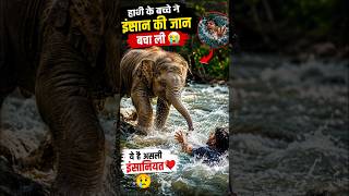 हाथी के बच्चे ने बचाई डूबते इन्सान की जान #animals #shorts