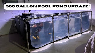 500 Gallon Pool Pond UPDATE!