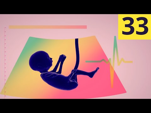 Vidéo: 33 Semaines De Grossesse : Sensations, Développement Fœtal, échographie