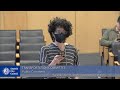 Transportation Committee 4/1/2025