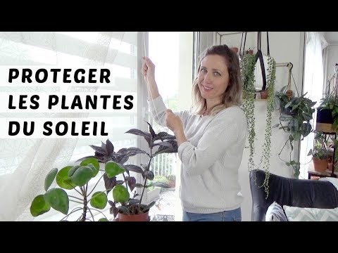 Vidéo: Growing Garden Hobby : Conseils pour gérer une dépendance au jardinage