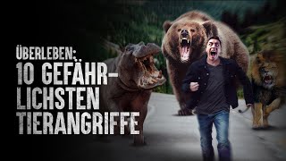 Wie überlebt man die 10 gefährlichsten Tierangriffe