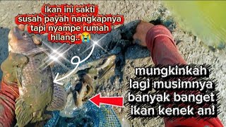 SHOULD I cry with happiness or smile wryly when I catch a big fish🤔😁✌