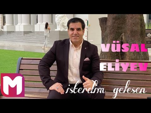 Vüsal Eliyev-İsterdim Gelesen(MayeMusic REMİX)2024