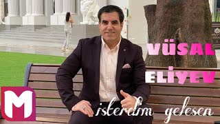 Vüsal Eliyev-İsterdim Gelesen(MayeMusic REMİX)2024 Resimi