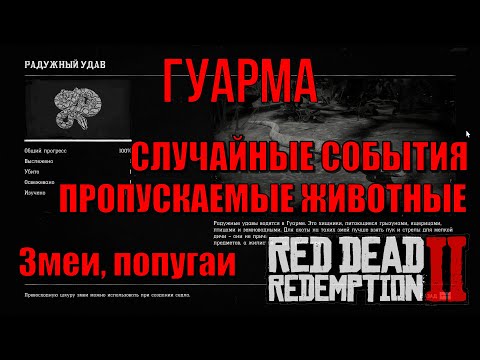 Видео: Пропускаемые животные Гуармы в Red Dead Redemption 2