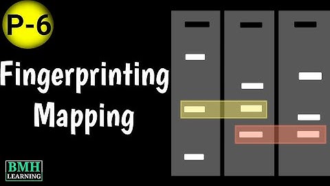Fingerprint Mapping | Restriction Mapping |