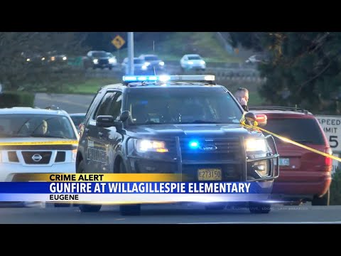 People react to gunfire in the Willagillespie Elementary School parking lot that sent the school