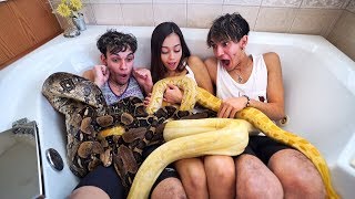 Last To Leave SCARY SNAKES WINS $10,000!