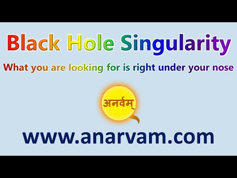 Black Hole Singularity ~ What you are looking for is right under your nose