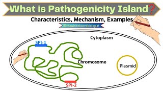 Pathogenicity Island or PAI: The Facts Explained | Animated Video |  @thewhiteboardbiologist