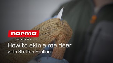 How to skin a roe deer – fast and clean | Norma Academy