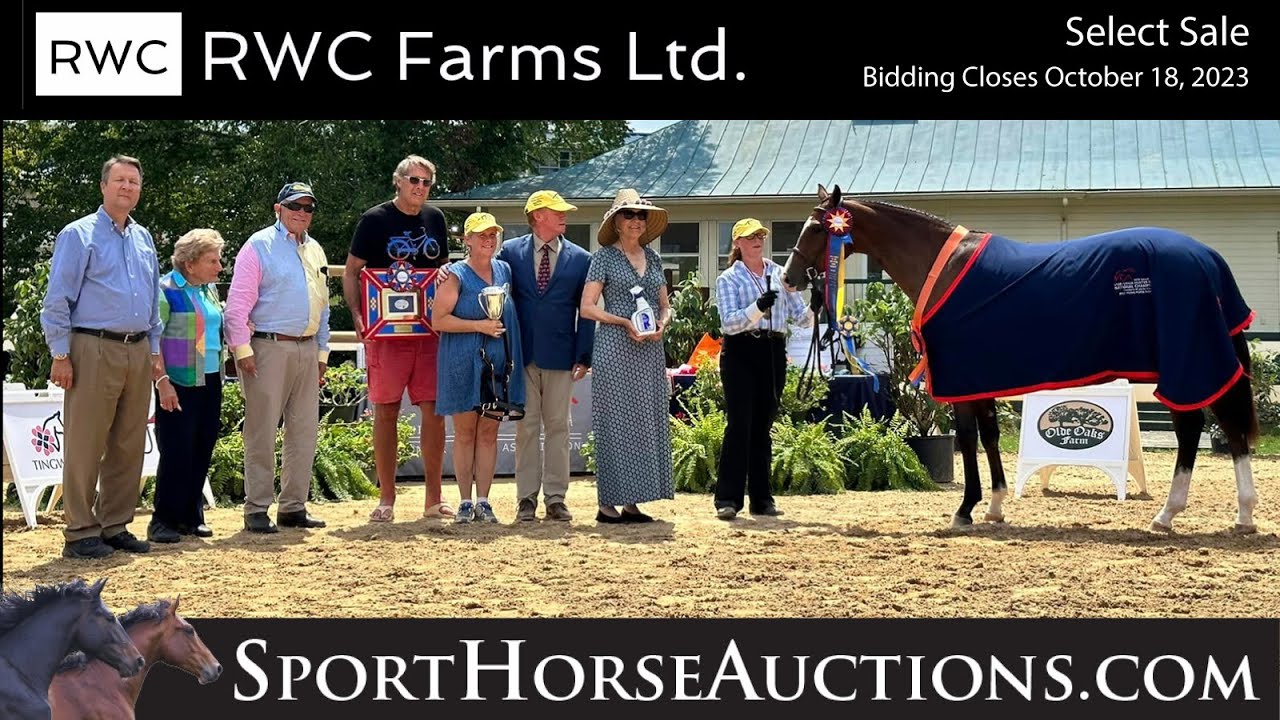 Charlotte RWC - RWC Farms Ltd Select Sale at SportHorseAuctions.com
