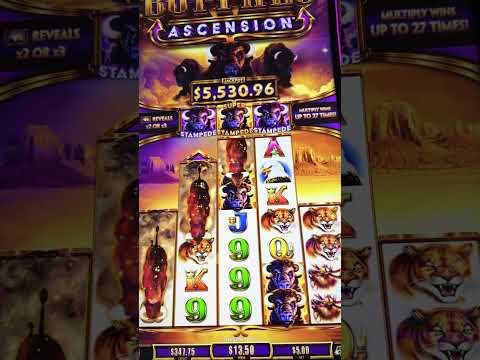 BINGO ORTIZ MEGAMIX “APOSTANDO NUEVAMENTE EN CARTONES” MEGAMIX BINGO CASINO 🎰