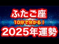 2025年の運勢🪷ふたご座 努力が大きく報われる時!いよいよ本格始動です!!望むものを大胆に描いてみて(仕事・お金・人間関係)