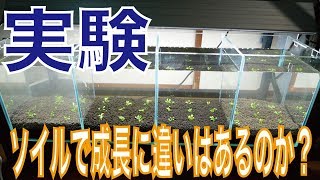 【アクアリウム】ソイルによって水草の成長に違いはあるのか？#1