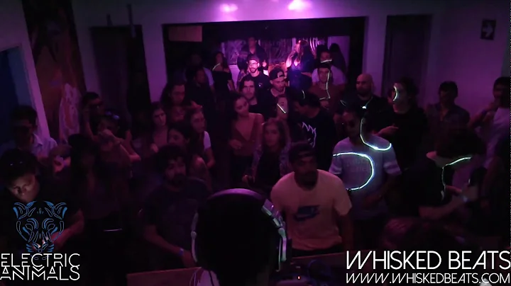 Fercho B2B Fernando Melo @ Electric Animals Day Pa...