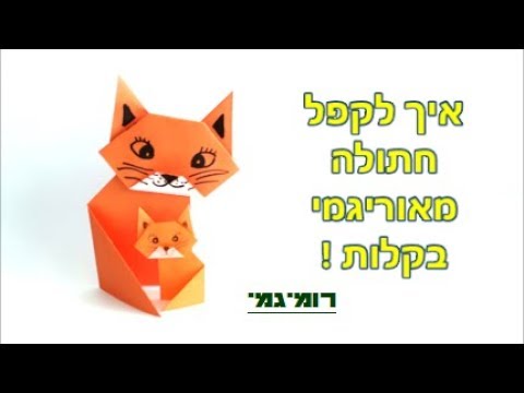 וִידֵאוֹ: איך מכינים מזין סנאי