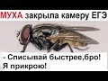 Лютые приколы. Муха закрыла камеру ЕГЭ. - Списывай быстрее, бро! Я прикрою! Бзз-з-з-з