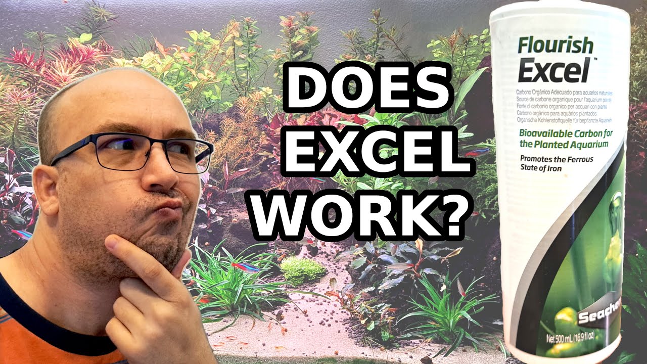 Does dosing Seachem Excel daily kill algae? YouTube
