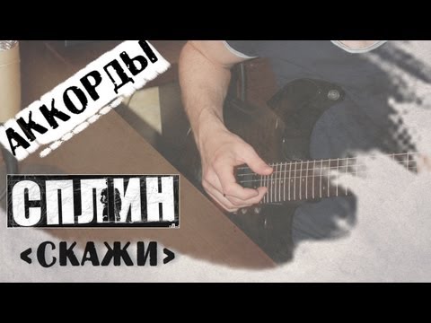 Скажи Сплин аккорды 🎸 кавер табы как играть на гитаре | pro-gitaru.ru