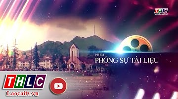 Phóng sự tài liệu: Chăm sóc sức khỏe phụ nữ và trẻ em dân tộc thiểu số (27/6/2024) | THLC