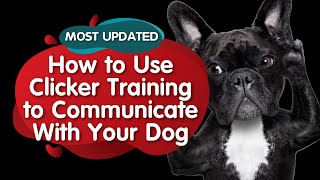 How to Use Clicker Training to Communicate with Your Dog? (MOST UPDATED) by BelaPaws 42 views 2 years ago 8 minutes, 6 seconds