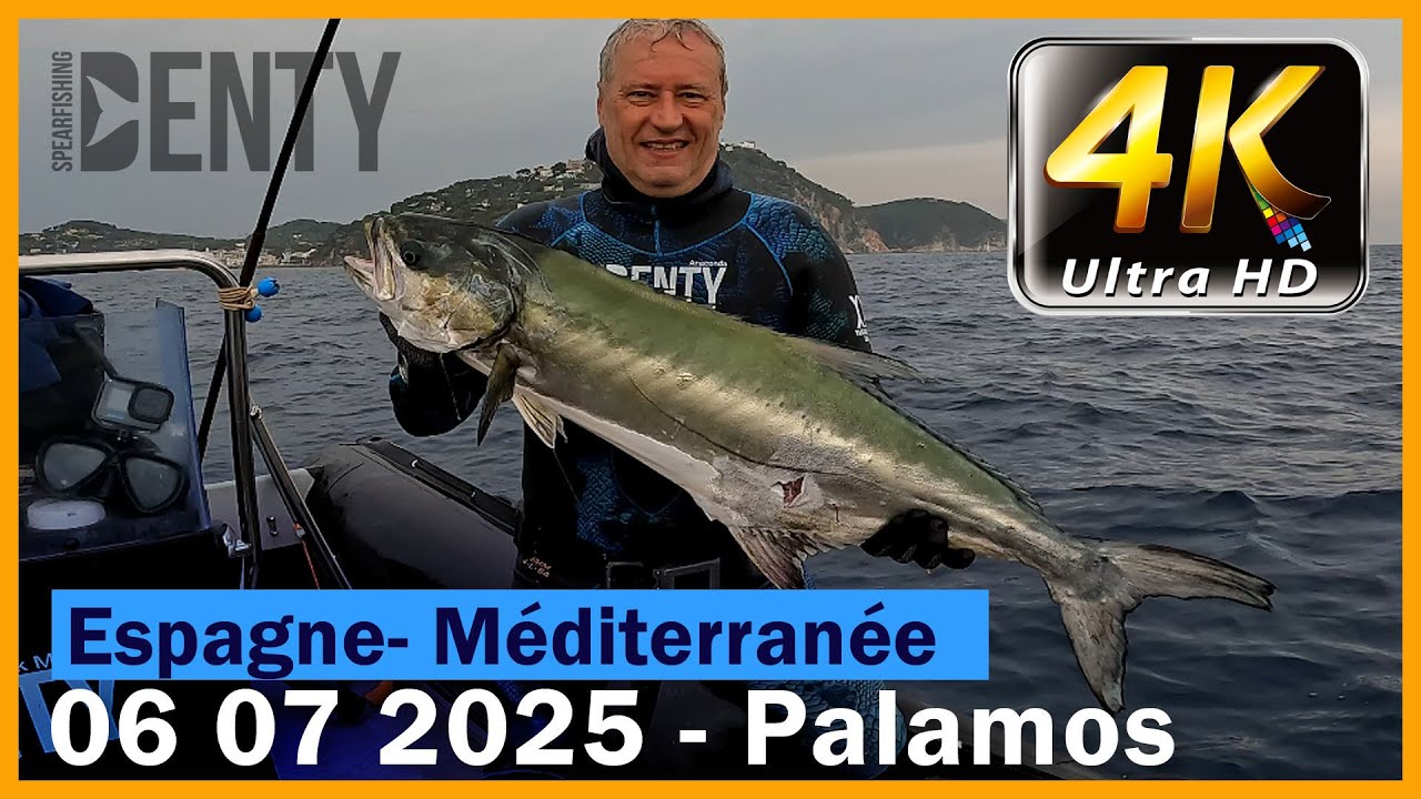 Deuxième liche amie de la saison en Chasse sous-marine