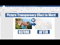 Picture Transparency Effect in Ms Word Tutorial || Ms Word Tips &amp; Tricks 2022