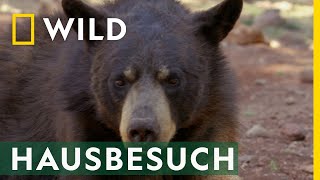 Hausbesuch im Bärengehege | Dr. Ole: Tierarzt im Einsatz