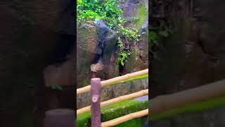 Ashoka Waterfall | Beutifull scene of Ashoka waterfall. nature waterfall travel rain water