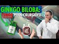 Ginkgo Biloba: usos e riscos 🌿