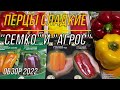 Крупные сладкие перцы от АФ "СЕМКО" и АТФ "АГРОС".