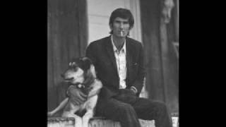 Townes Van Zandt - The Velvet Voices