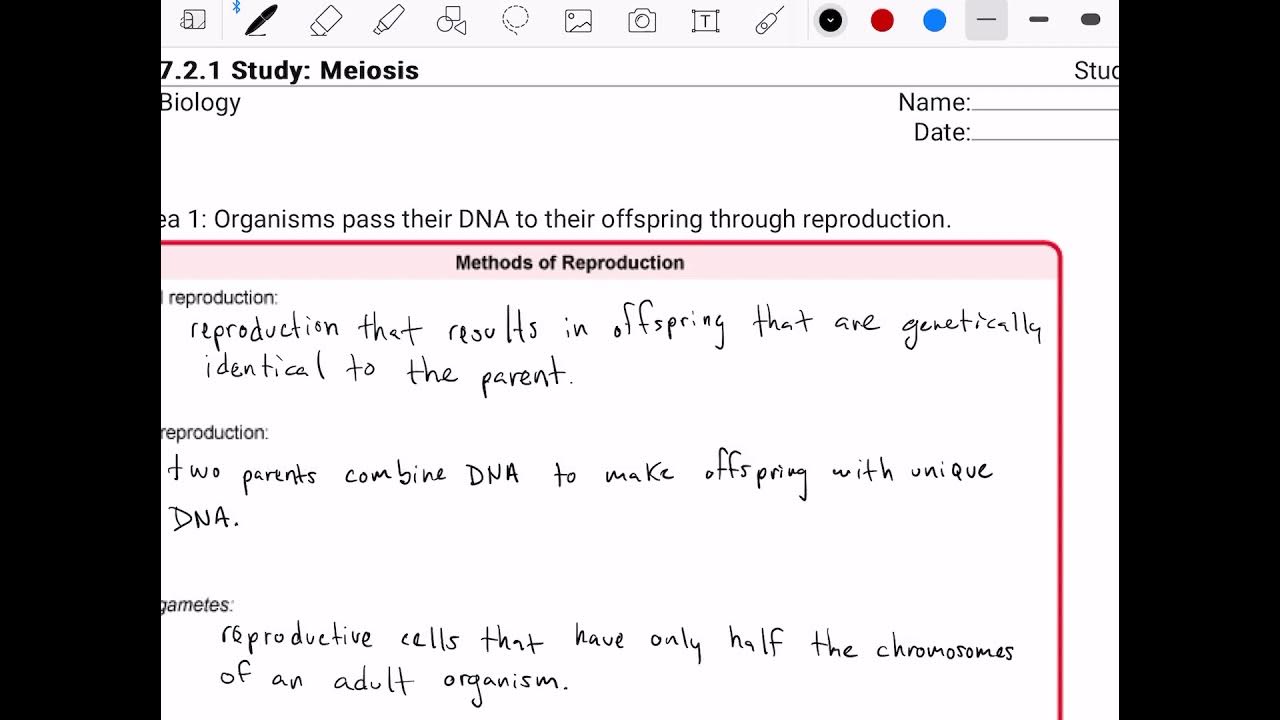 Apex Biology Study Guide 7.2.1 Meiosis - YouTube
