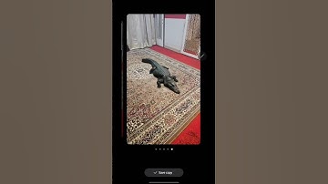 CROCODILE IN MY HOUSE 🐊 🥶😨😰😱 | POWER OF S23 ULTRA | #sketchtime SAMSUNG GALAXY AI #aiart #2024shorts