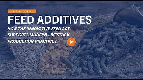 Feed Additives: How the Innovative FEED Act Supports Modern Livestock Production Practices