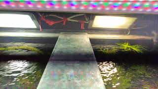 Прожектора в аквариуме под крышкой