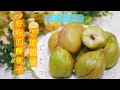 Fun酷客 就是要當季水果 醃甘草脆桃 看到了你絶對不要錯過哦 How To Make Pickled Crispy Peaches Recipe In This Season Fun酷客 就是要當季水果 醃甘草脆桃 看到了你絶對不要錯過哦 How To Make Pickled Crispy Peaches Recipe In This Season