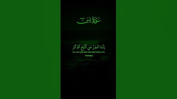 سورة يس 🌿🌹 اكتب شيء تؤجر عليه 🌿