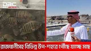 কাতারে সাড়া ফেলেছে খামারে উৎপাদিত বাংলাদেশি তাজা মাছ | DBC NEWS