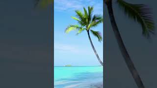 Queen   Show Must Go On DJ ILHAM RMX 2026 #evko #music #музыка #shorts