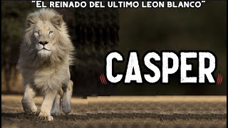 El ÚLTIMO LEÓN BLANCO de ÁFRICA | CASPER