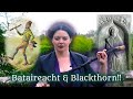 Irish stick fighting bataireacht  blackthorn